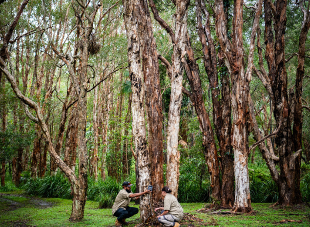 Rangers Harry Wilson & Timmahna Williams monitor local dingo population. Photo: Annette Ruzicka.