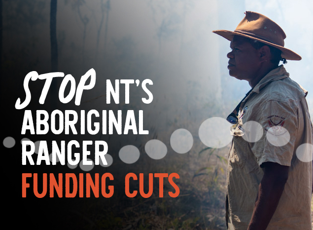 Country Needs People have started a petition to restore funds for Territory Rangers. Pictured: Derek Putantatameri, by Annette Ruzicka. Country Needs People have started a petition to restore funds for Territory Rangers. Pictured: Derek Putantatameri, by Annette Ruzicka.