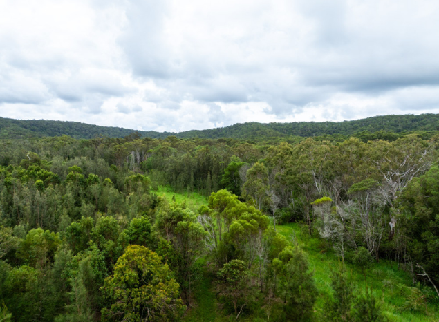 Minyumai IPA is home to 447 native plant species. Photo: Annette Ruzicka.