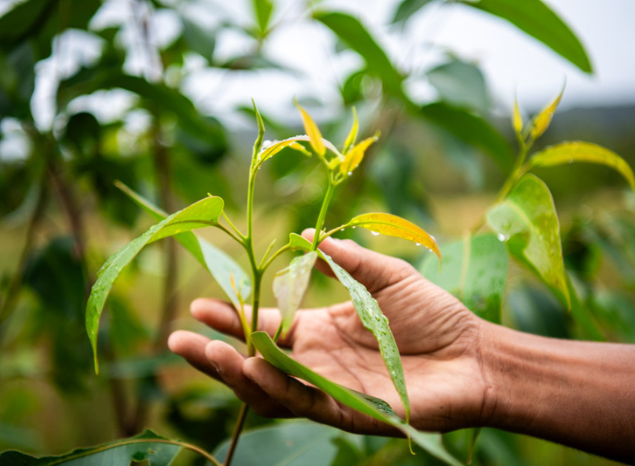 "Knowledge of this area was carried down the generations." Photo: Annette Ruzicka.
