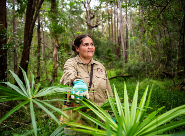 Minyumai Ranger Timmahna Williams getting some regeneration work done. Photo: Annette Ruzicka.