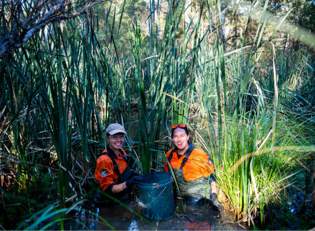 Narrap Rangers do a lot of eel tagging and monitoring. Image features Rangers Teghan Voce and Ainsley Smith. Photo: Annette Ruzicka.