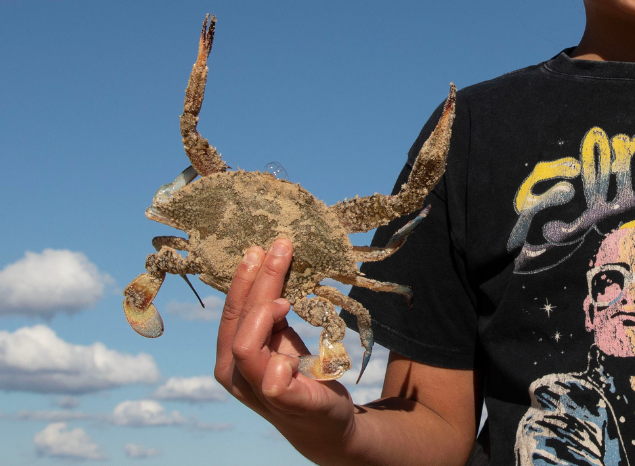 Gamay remains rich in cultural and natural resources. Photo: Jessica Hromas