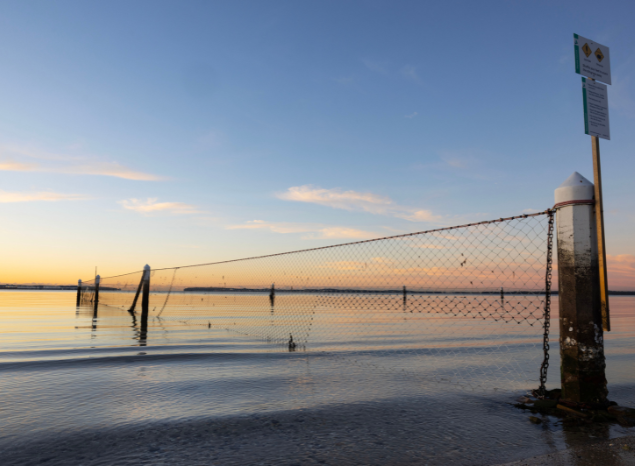 Swim nets at Brighton Le Sands Beach. Photo: Jessica Hromas.