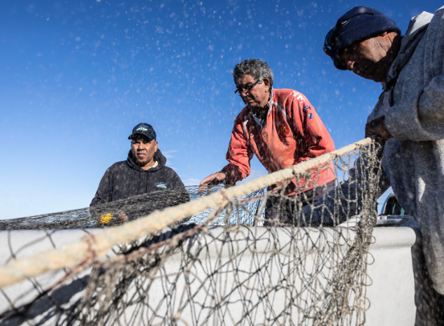 Community mullet haul on Gamay. Photo: Jessica Hromas.
