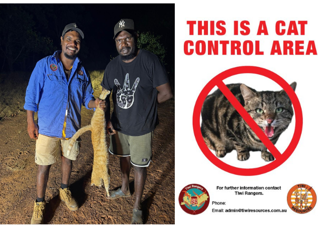 Night shooting is one of the ways Tiwi Rangers, Henry Kerinaiua and Dominic Tipiloura, control feral cats. Photo: Supplied.