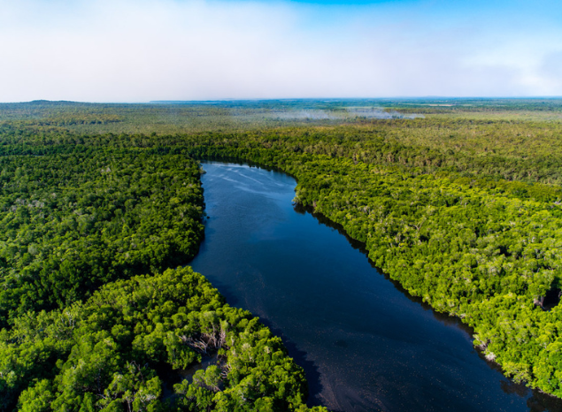 Tiwi Islands IPA protects Country of all eight clan groups. Photo: Annette Ruzicka.