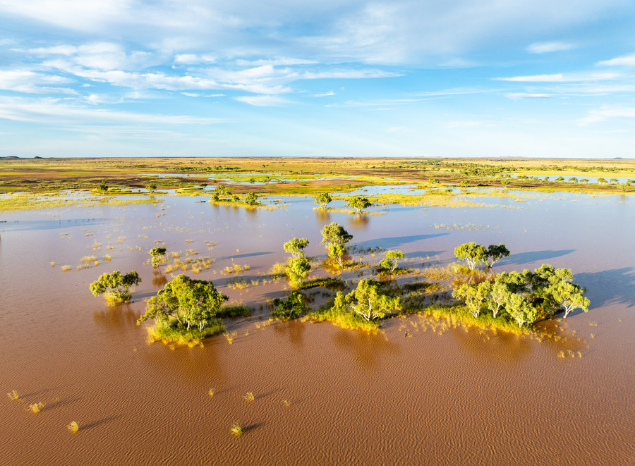 Ngurra Kayanta IPA, Great Sandy Desert, WA. Photo: Annette Ruzicka.