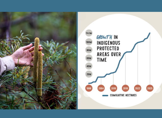 L: Minyumai IPA. Photo: Annette Ruzicka. R: Growth in IPAs over time. Graph: Country Needs People.