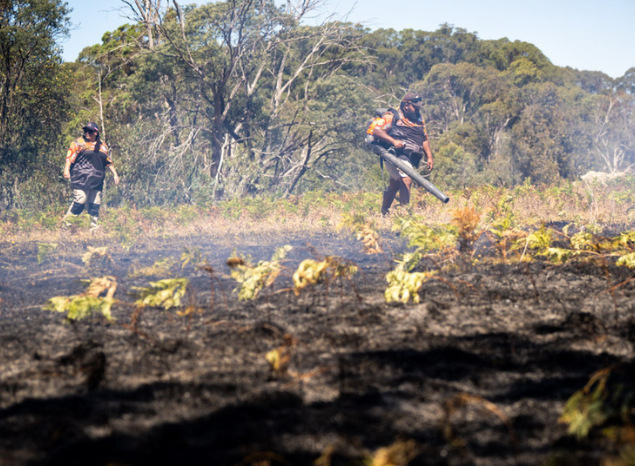 Banbai Ranger Supervisor Kane Patterson undertakes cool burning with Tashami Jerrard. Photo: Annette Ruzicka. 