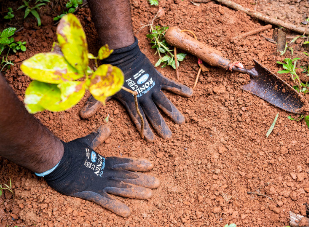 Your support has helped funding for Indigenous Rangers and IPAs grow. Jawajawa Rangers, Photo: Kerry Trapnell. Your support has helped funding for Indigenous Rangers and IPAs grow. Jawajawa Rangers, Photo: Kerry Trapnell.