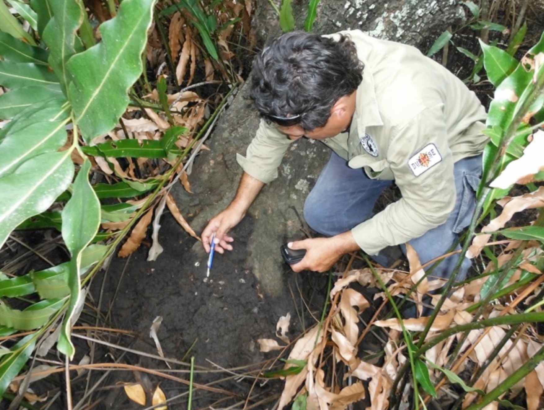 Kerry_Jones_Kabi_Kabi_Traditional_Owner_-_Water_mouse_monitoing_-_Maroochy_Estuary.jpg