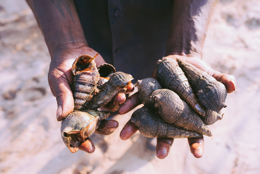 Wunambal_Gaambera_Photo_Elements-164.jpg