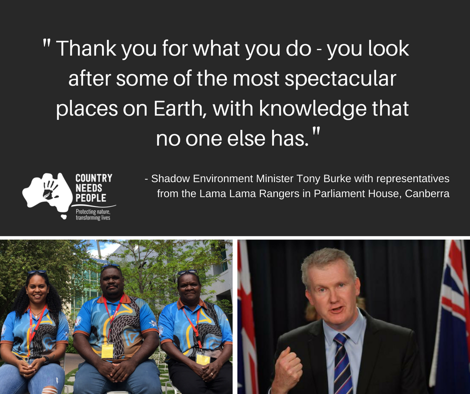 Lama_Lama_with_Tony_Burke_(1).png