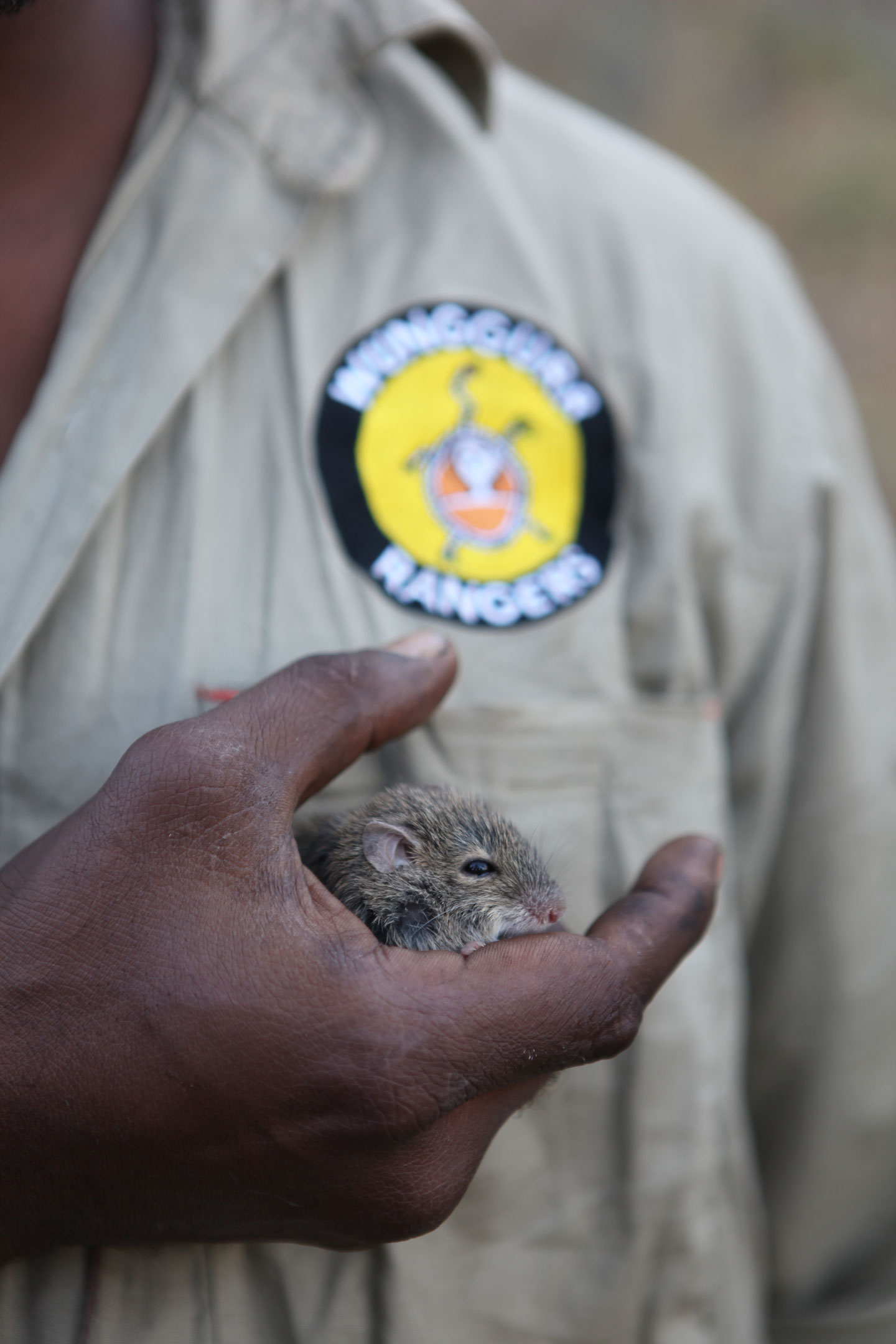 Wunggurr-Ranger-and-Mouse.jpg