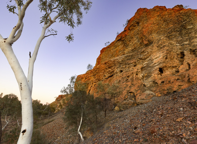 Country Needs People's visit to the Pilbara, 2024. Photo: Nic Gambold.