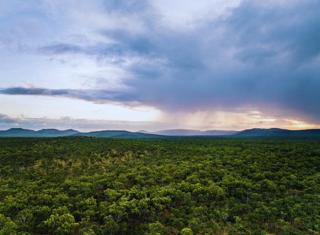 Stunning Country stretching out across Normanby Station. Photo: Annette Ruzicka Stunning Country stretching out across Normanby Station. Photo: Annette Ruzicka