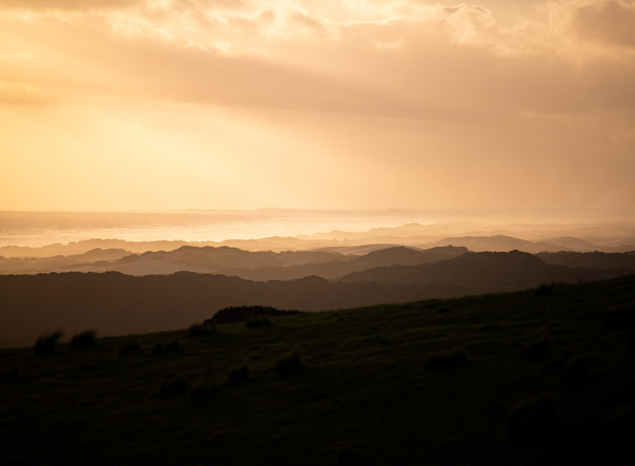 Looking to the future on Gunditjmara Country. Photo: Annette Ruzicka.