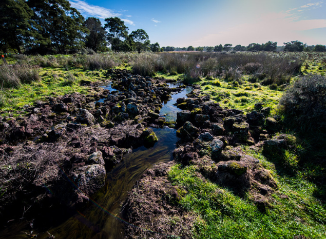 The ancient aquaculture structures of Budj Bim are over 6,600 years old. Photo: Annette Ruzicka.