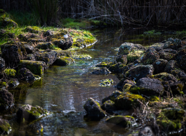 Close up of one of the weirs at Budj Bim. Photo: Annette Ruzicka.
