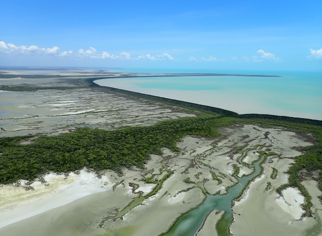 Seagrass stretching across SE Arnhem Land IPA. Photo: Courtesy Northern Land Council.