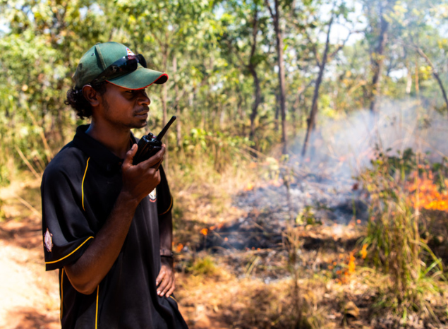 Tiwi Ranger Stanley Tipungwuti undertaking cultural burning. Photo: Annette Ruzicka.