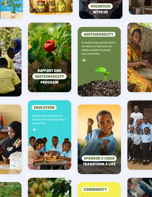 The Baobab Home - Website Design