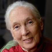 Jane Goodall