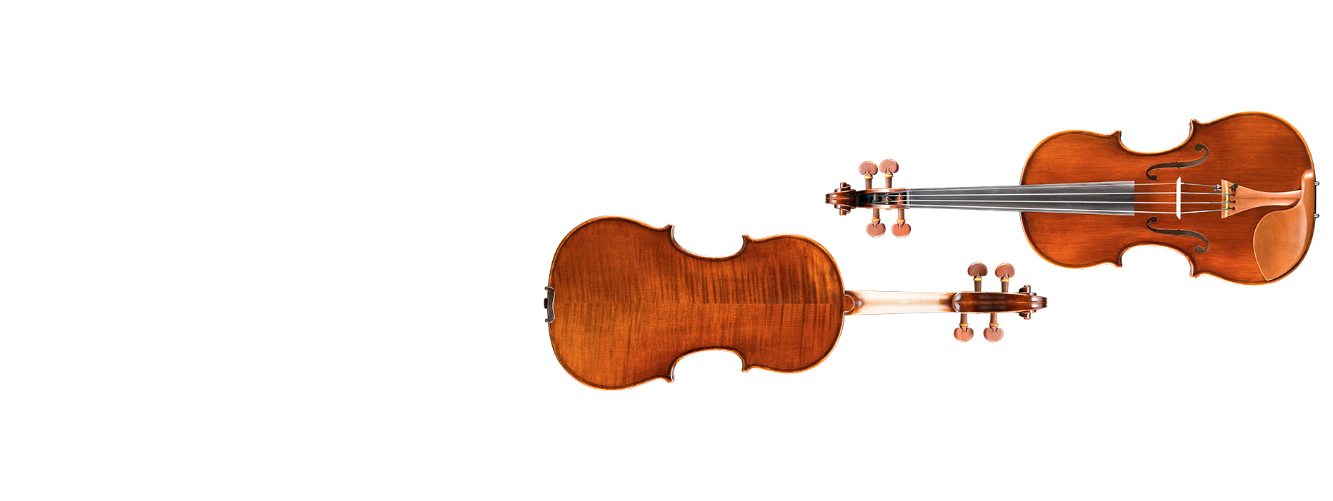 violin