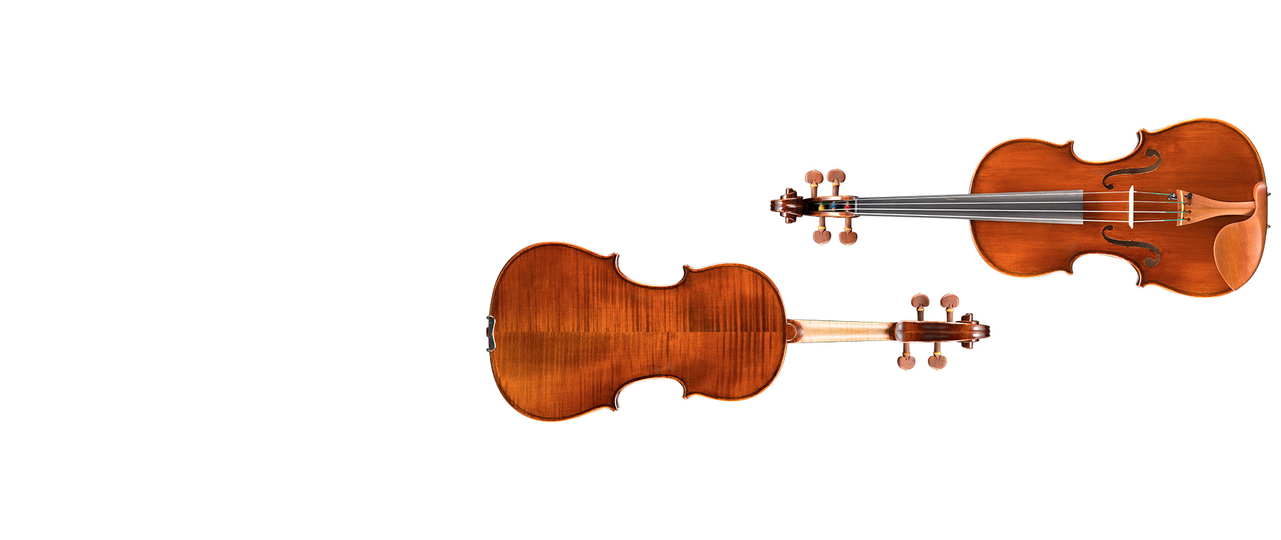 viola