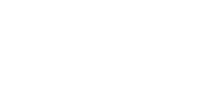 Electric Plugs