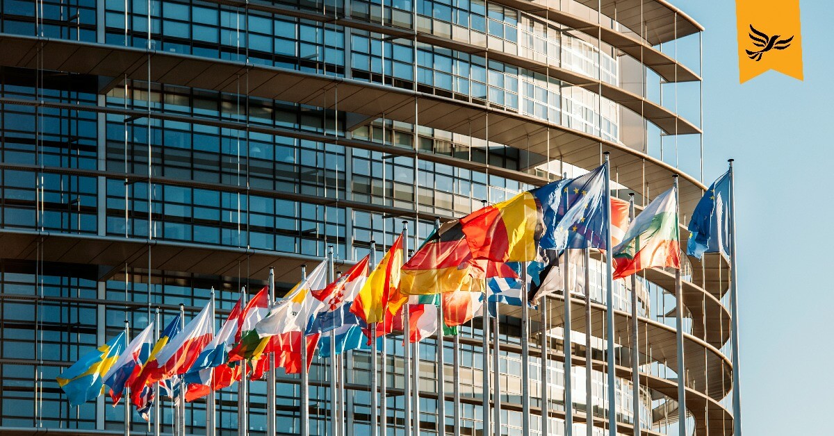 The flags of EU countries flying.