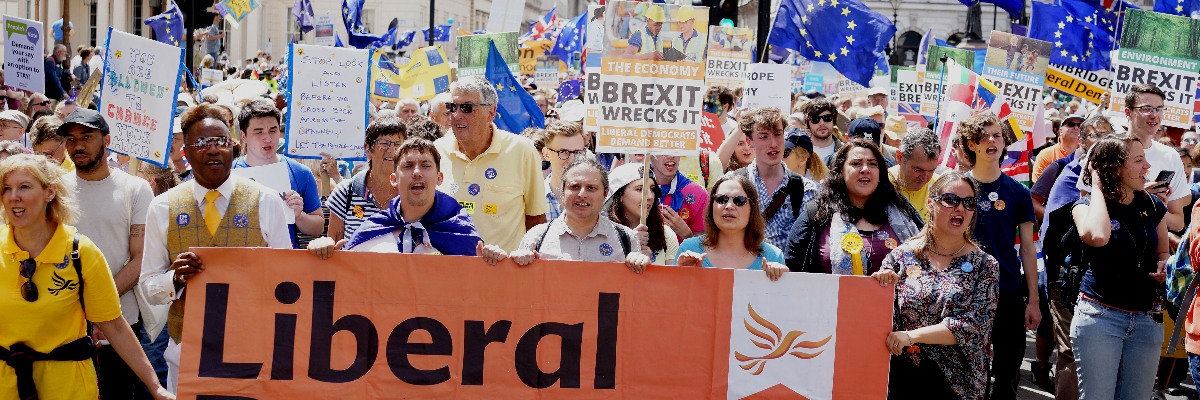 Liberal Democrats at 2018 Anti-Brexit March