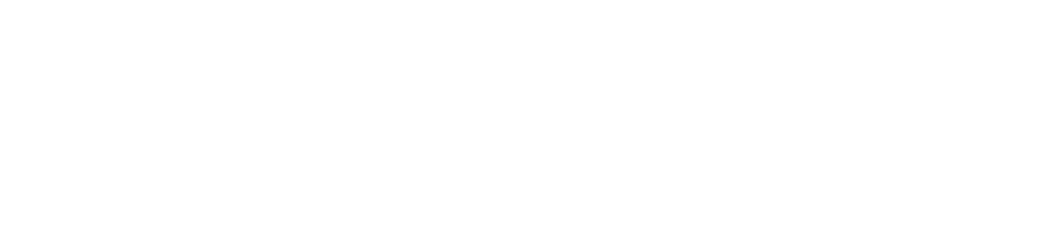 Canadian Alliance to End Homelessness
