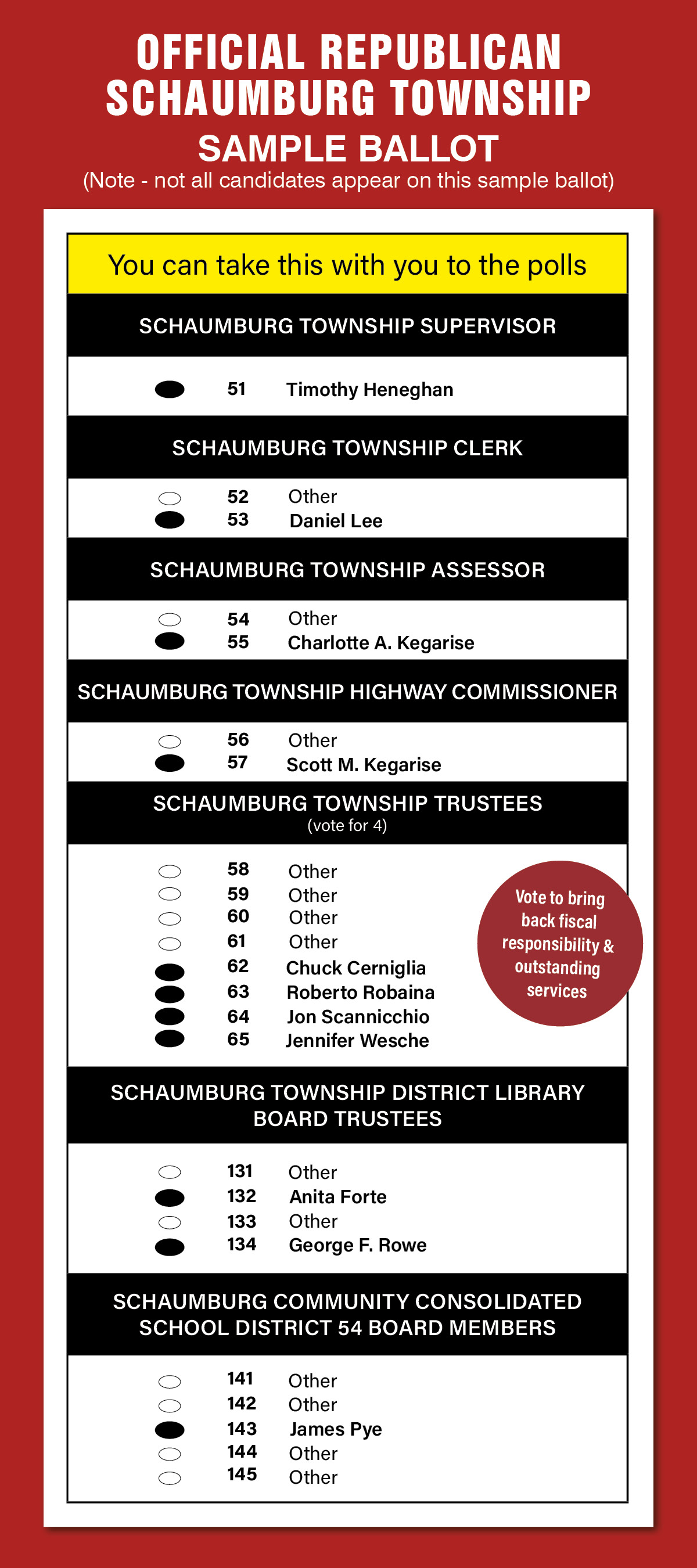 April 1 2025 stro schaumburg township sample ballot