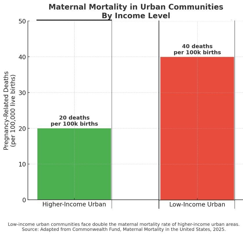 Maternal mortality in urban communities by income level