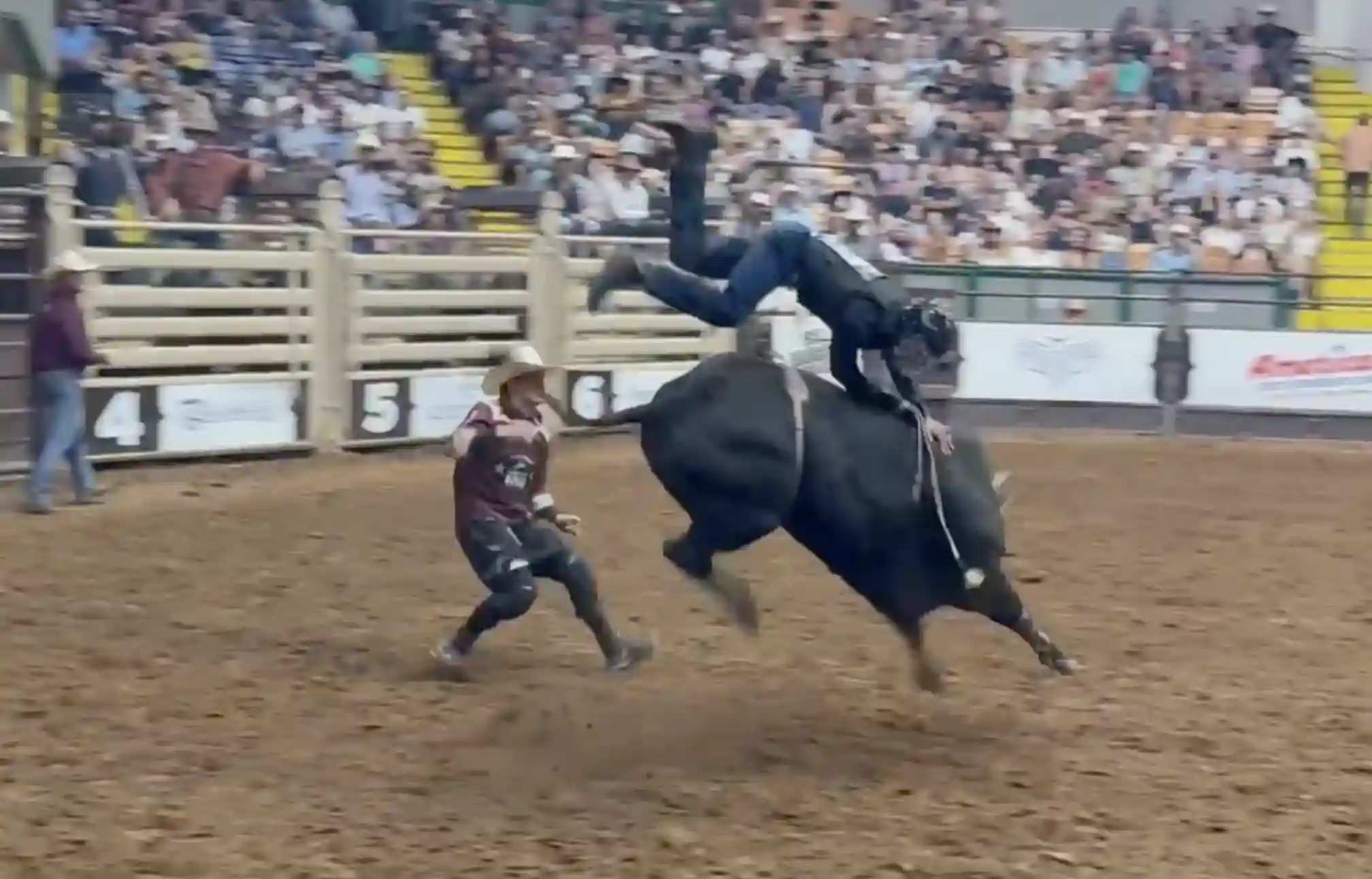 CPB Airborne on Bull