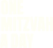 One Mitzvah A Day