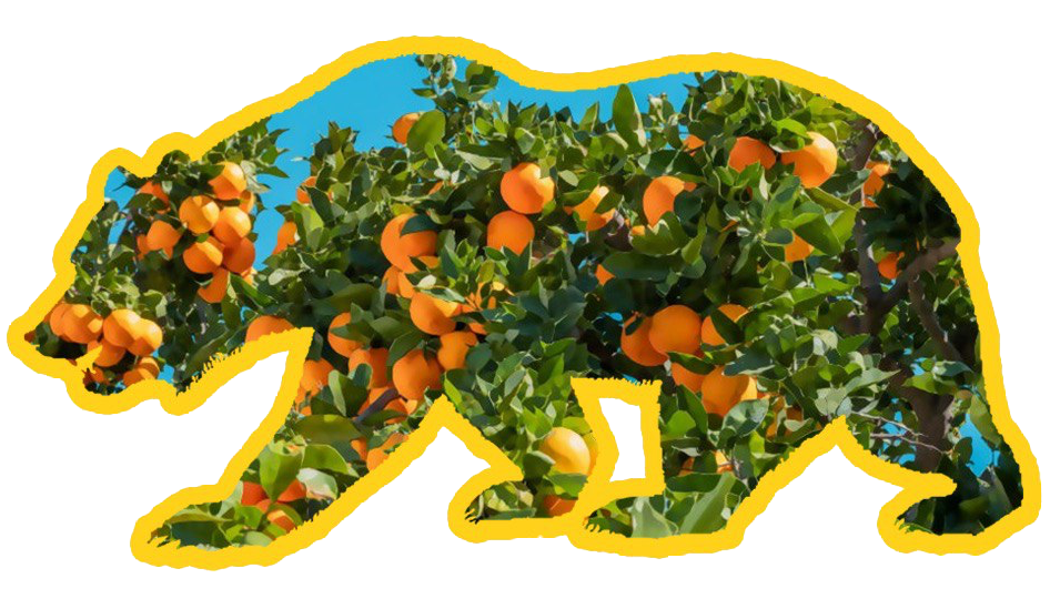 Orange County Chapter