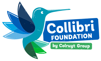 logo Collibri