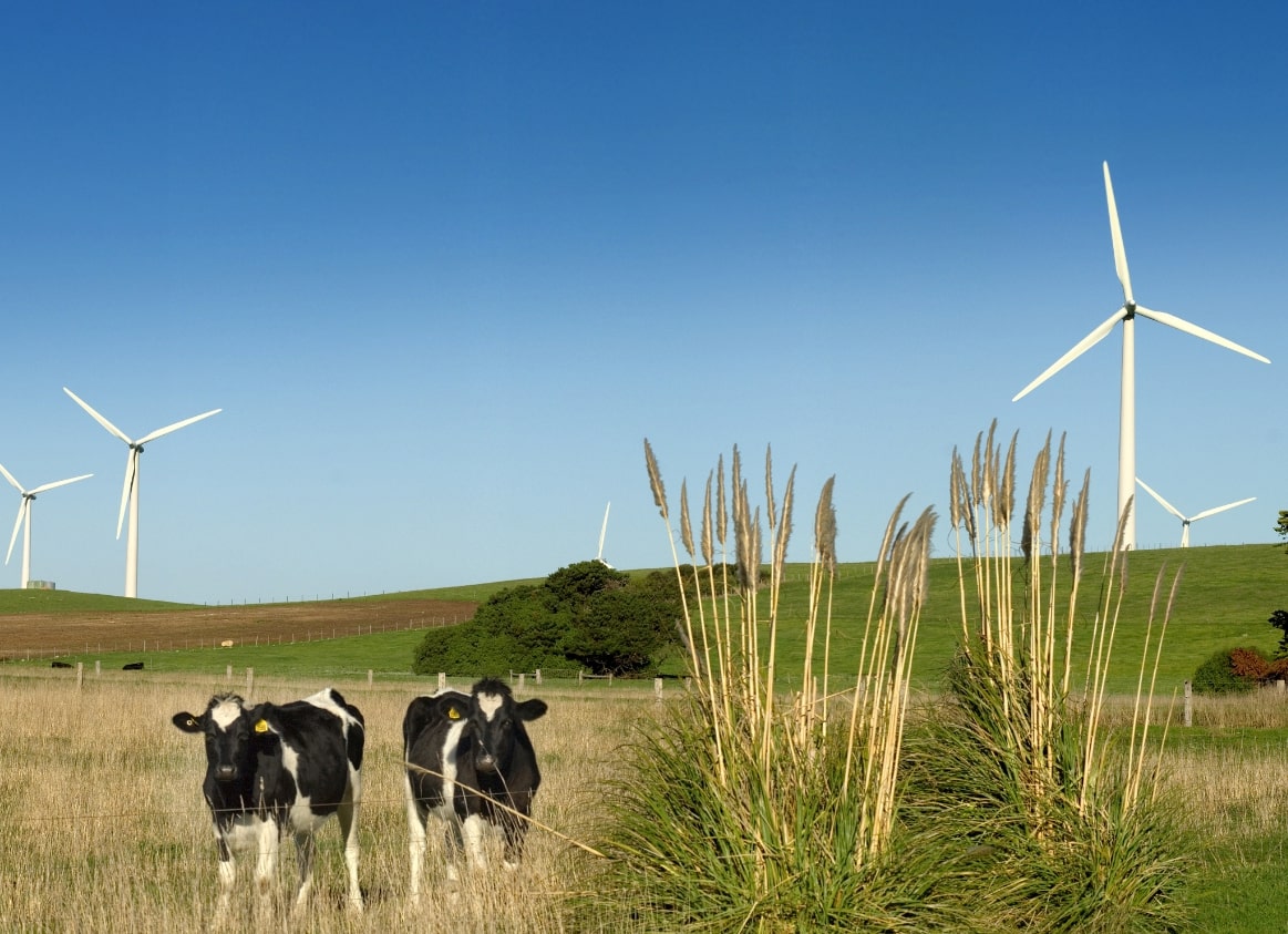 Yass Valley Council ignores proven community benefits of wind