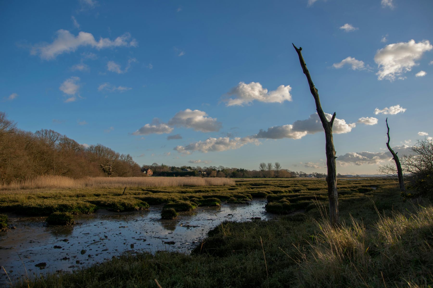 Hampshire coastline