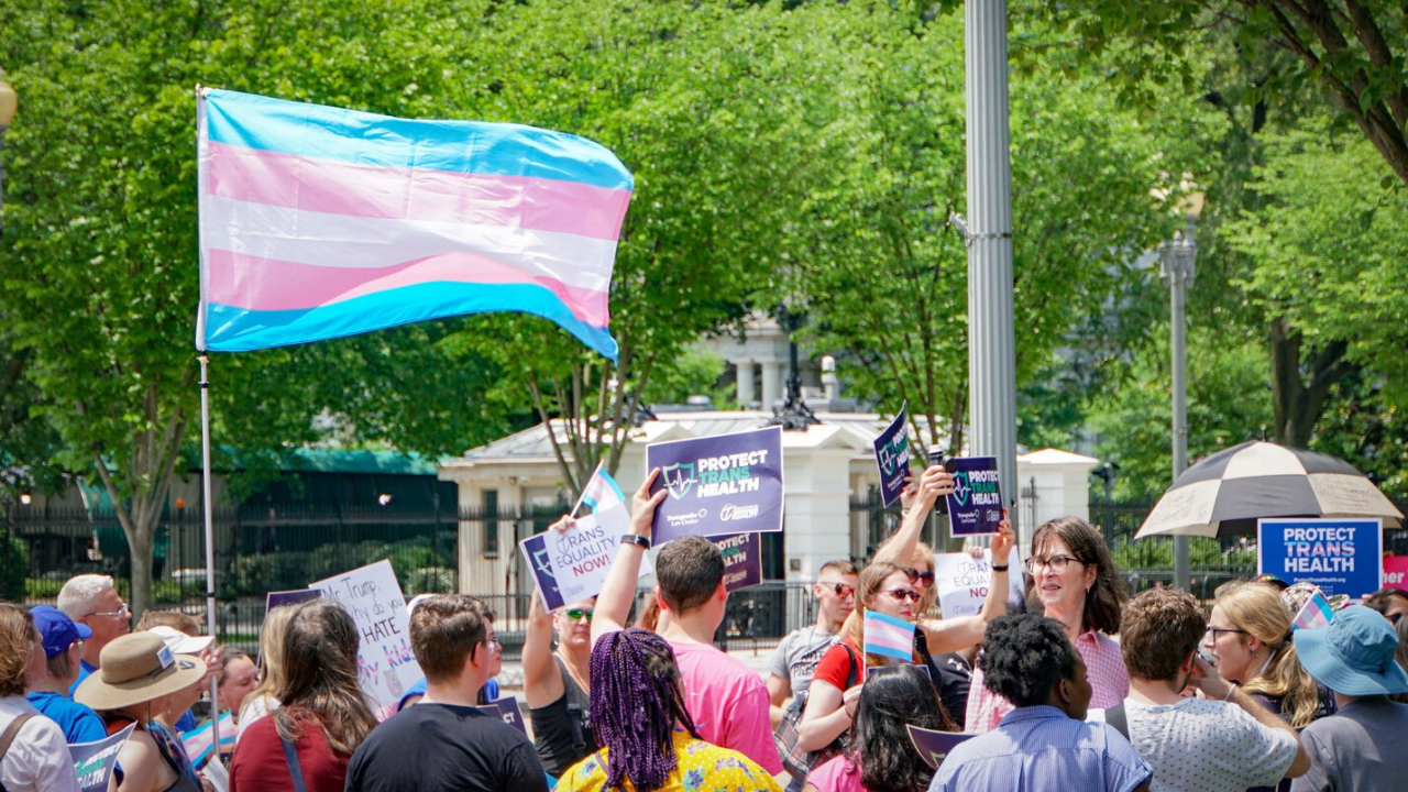 WHO names transgender former prostitute to trans health expert board ...