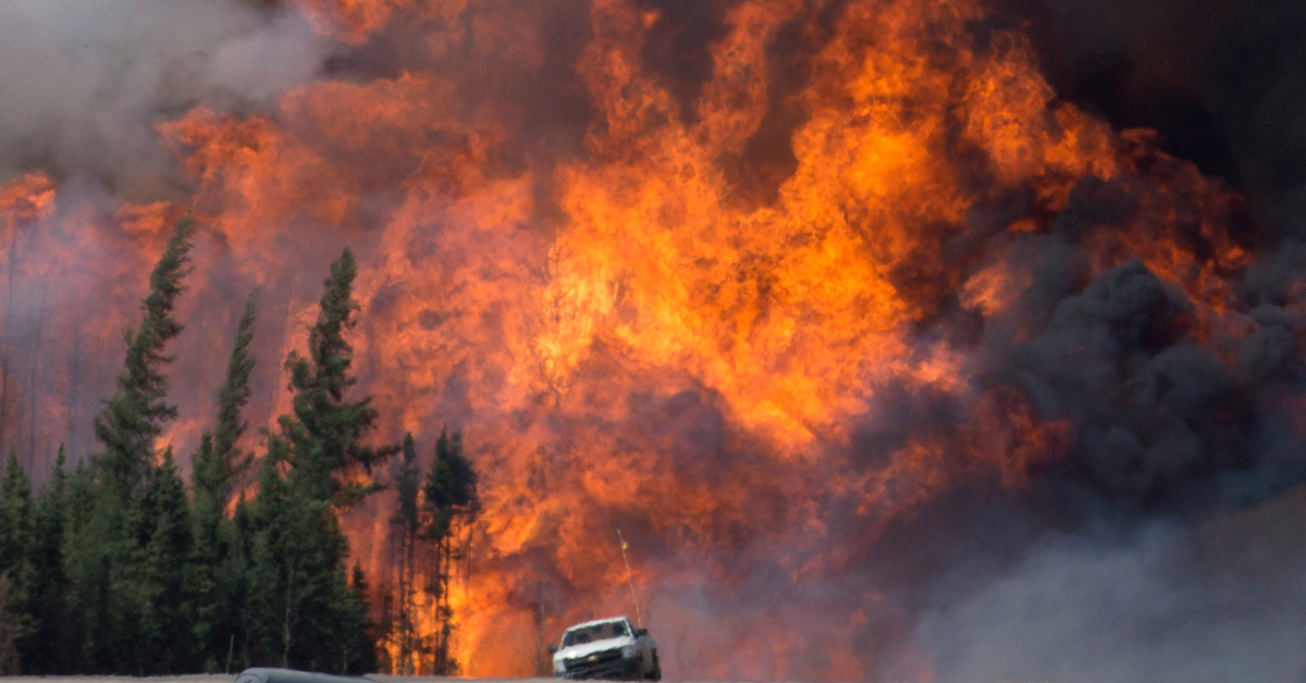 Canada suffers 'significant losses' from improper wildfire management, report shows