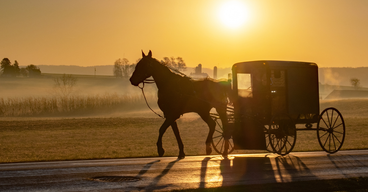 Amish COVID conviction overturned in partial court win for The Democracy Fund