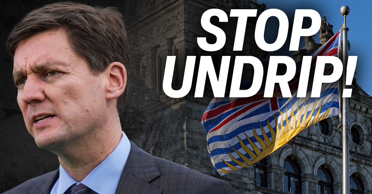 Reconciliation or discrimination? The truth about B.C.'s UNDRIP law and how to stop it