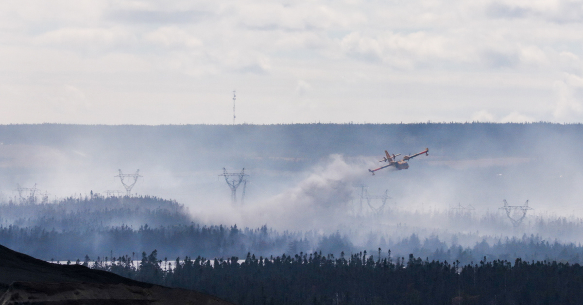 Man charged with arson over bush fires in St. John's, fined $150K