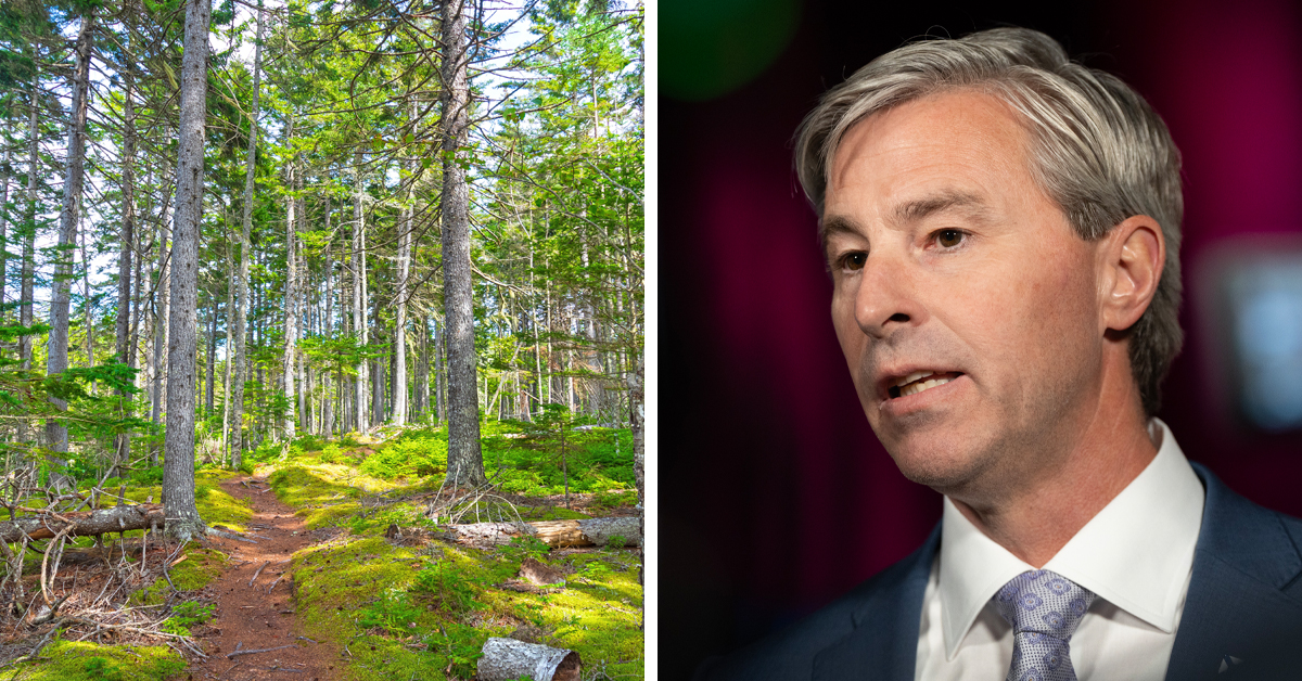 Freedom advocates seek judicial review of the Nova Scotia forest ban