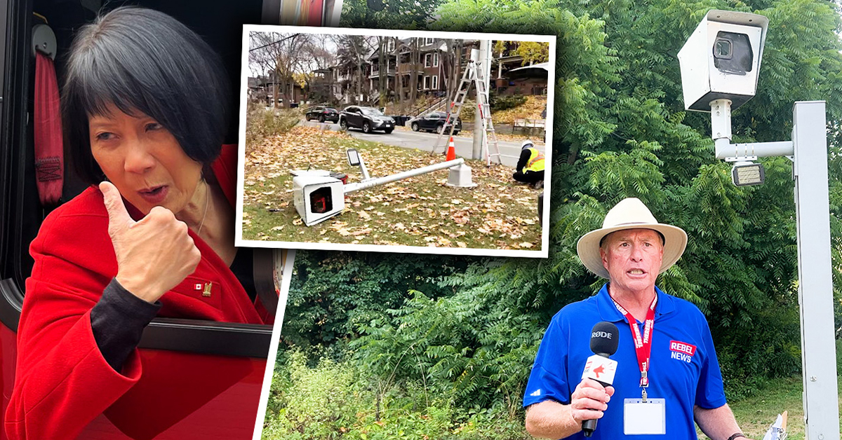 Toronto’s most notorious speed camera is back in business — how soon before it’s chopped down yet again?