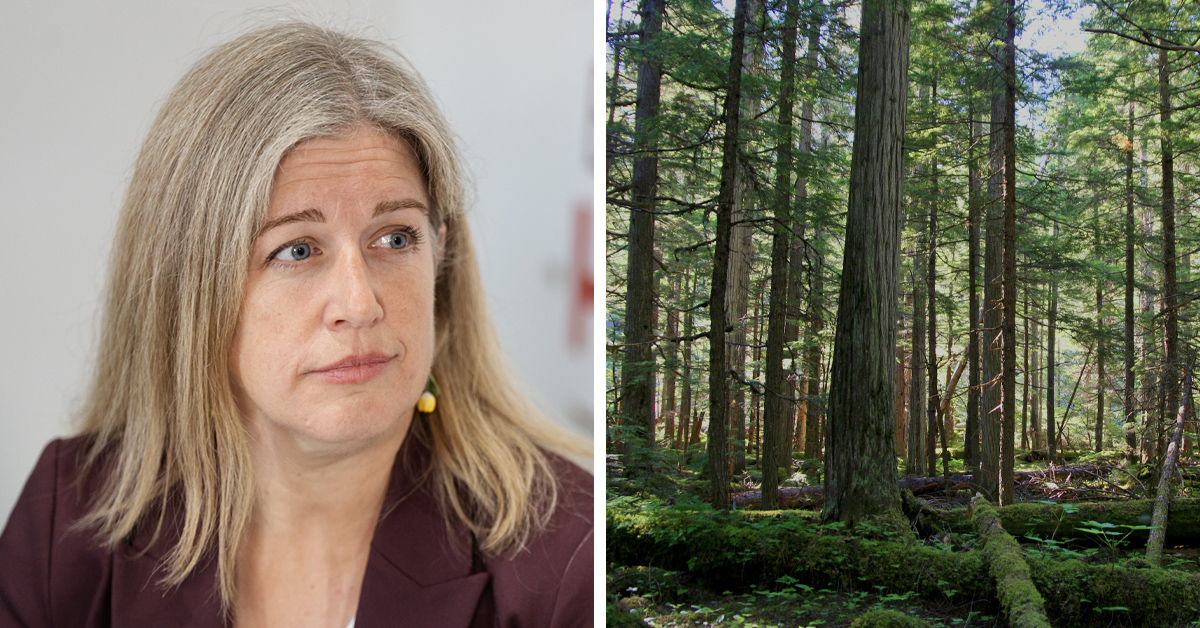 The Canadian Press / Darren Calabrese (left)